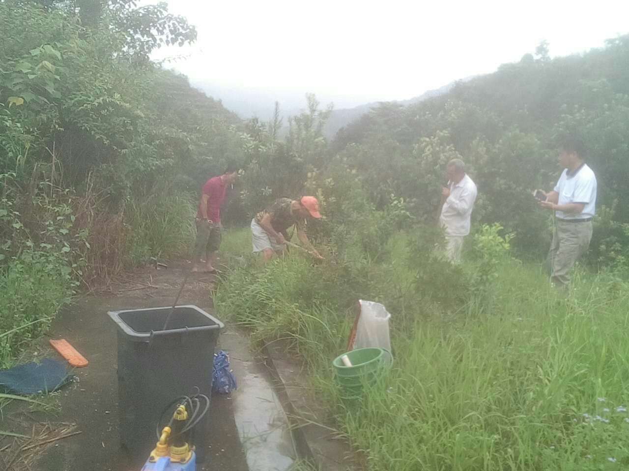 广东杨莓树根腐病现场查看